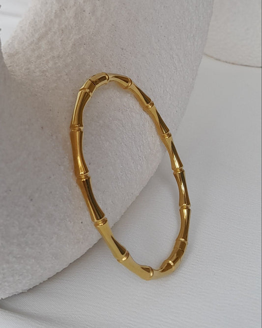 25135 Stainless Steel Bangle