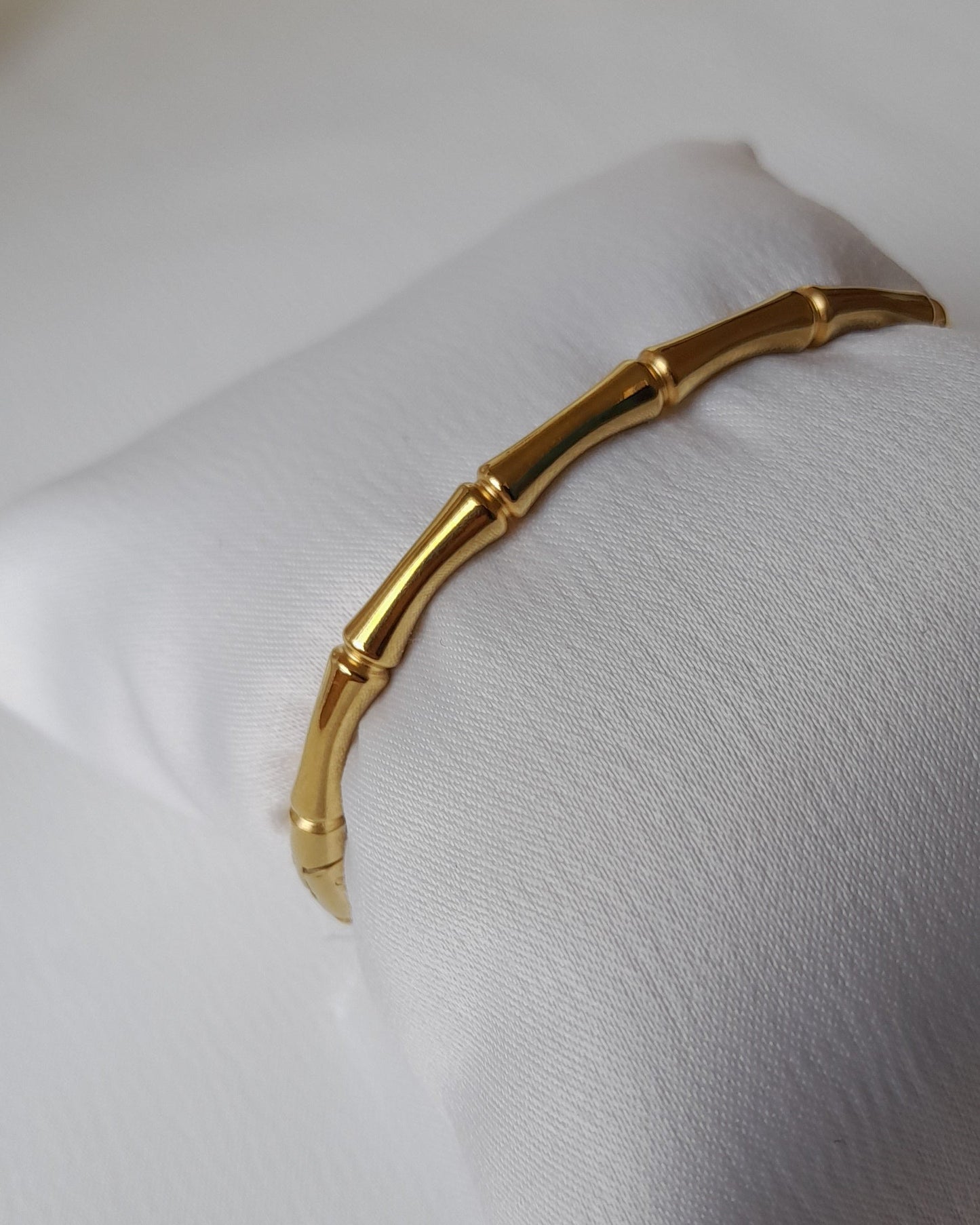 25135 Stainless Steel Bangle