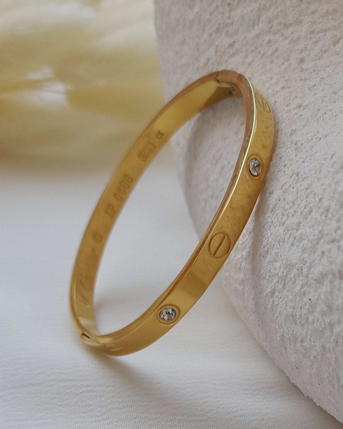 25137 Stainless Steel Bangle
