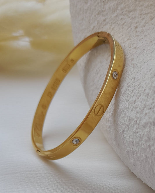 25137 Stainless Steel Bangle